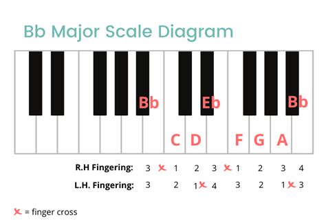 Bb Major Scale On The Piano - Notes, Fingerings & More