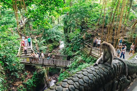 Sacred Monkey Forest Sanctuary of Ubud, Bali - Travel Pockets