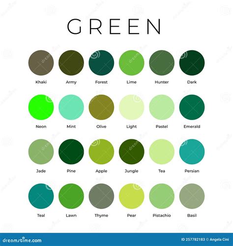 Green Color Shades Swatches Palette With Names Cartoon Vector | CartoonDealer.com #257782183