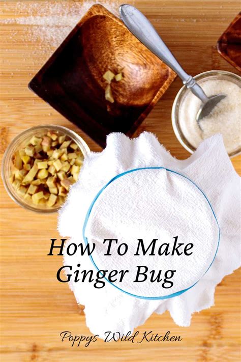 Ginger Bug Recipe - Poppys Wild Kitchen