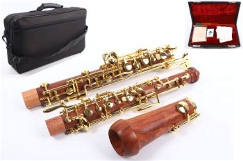 5 Best Oboes Reviewed in Detail [Jun. 2020]