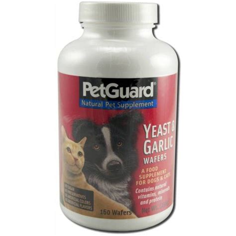 Top 10 Yeast Free Dog Foods: Keep Your Furry Friend Happy and Healthy! - Furry Folly