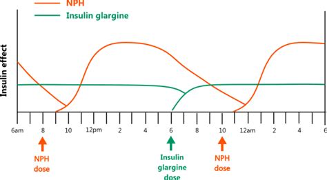 Insulin dosing