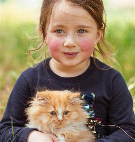 10 best cat breeds for kids- The Long Whiskers