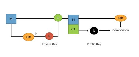 RSA Algorithm: Secure Your Data with Public-Key Encryption