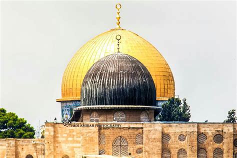 Al Aqsa Mosquethe Dome Of The Rock Jerusalem Palestine Palestine | Images and Photos finder