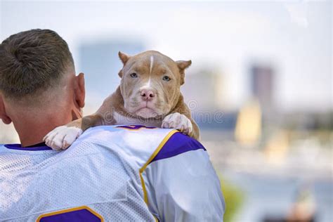 American Football Player with a Dog Posing on Camera in a Park. Copy Space, Sports Banner Stock ...