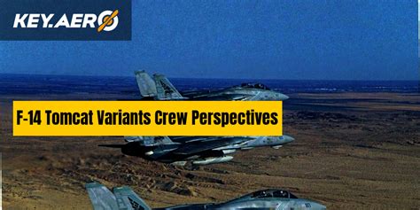 F-14 Tomcat Variants Crew Perspectives