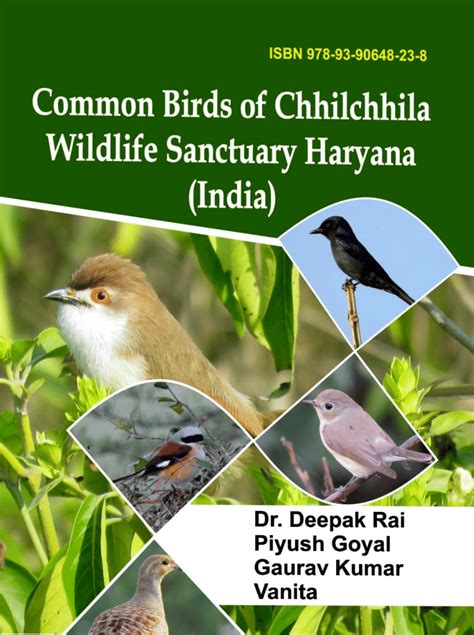 (PDF) Common Birds of Chhilchhila Wildlife Sanctuary Haryana (India ...