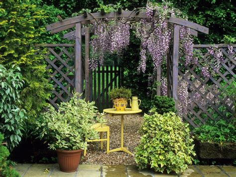 Pergola Plants: What Are The Best Plants For A Pergola?