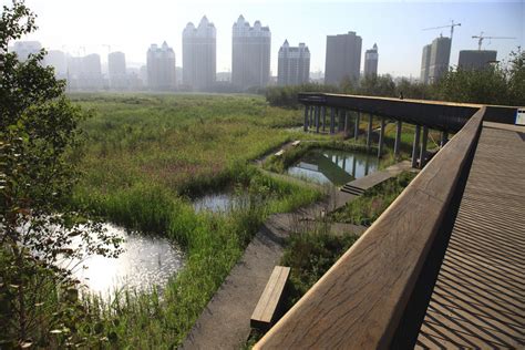 Qunli Stormwater Wetland Park / Turenscape | ArchDaily