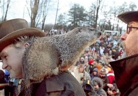 Punxsutawney throws weeklong celebration awaiting Phil's weather ...