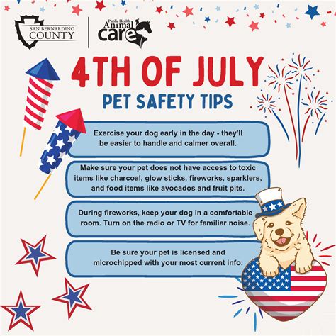 Keep pets safe during the Fourth of July – Welcome to San Bernardino County