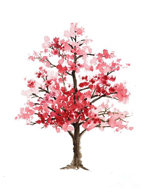 Sakura Tree Watercolor at PaintingValley.com | Explore collection of Sakura Tree Watercolor