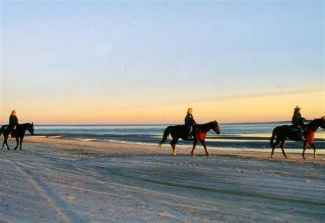 Amelia Island State Park | Florida State Parks