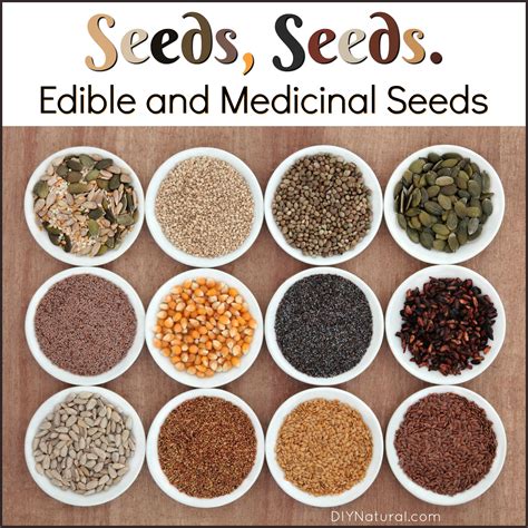 Seeds. Edible Seeds. Medicinal Seeds. 10 Seeds You Can and Should Eat