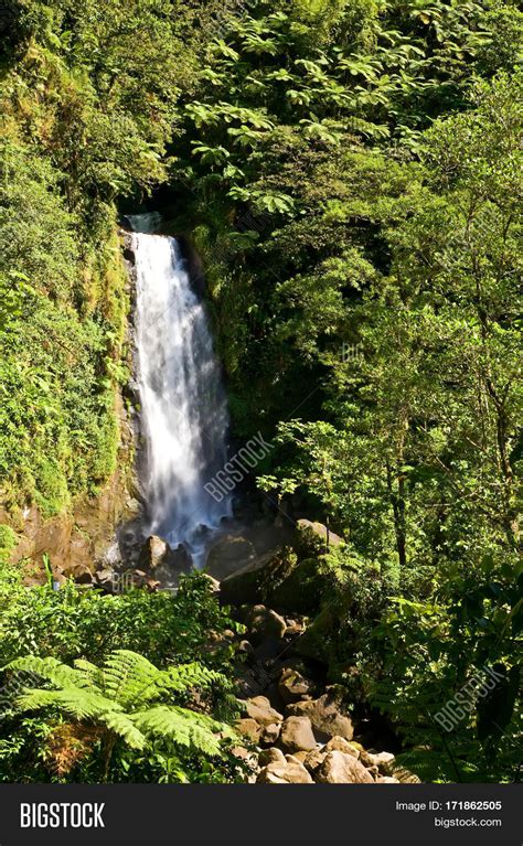 Waterfalls On Dominica Image & Photo (Free Trial) | Bigstock