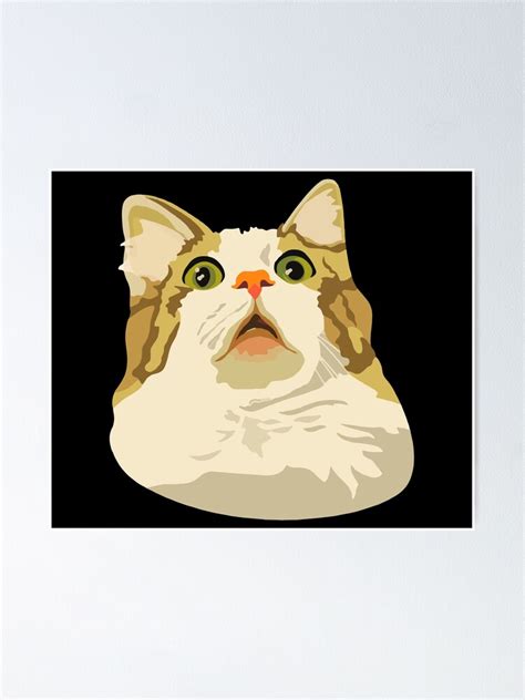 "Surprised Cat Meme, Cursed Cat Images" Poster for Sale by printify | Redbubble