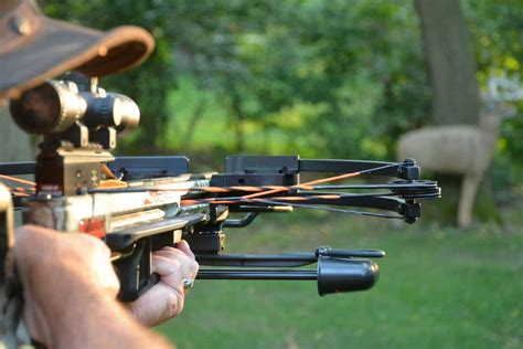 Effective and Ethical Crossbow Shooting Distance | Shoot On