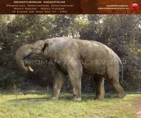 Deinotherium giganteum by RomanYevseyev on DeviantArt