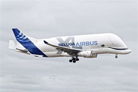 Airbus Beluga XL - Price, Specs, Photo Gallery, History - Aero Corner