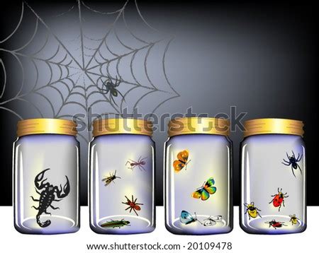 Insects In Glass Jar Stock Vector Illustration 20109478 : Shutterstock