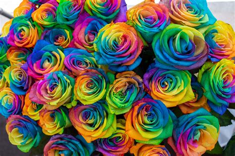 ITAP of rainbow roses for the Pride month. (Yes they are real flowers) : r/itookapicture