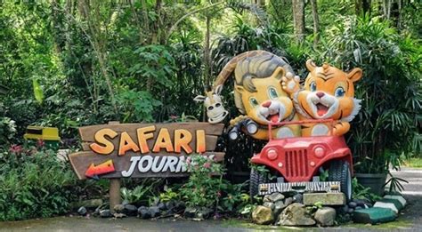 Info Lengkap Wisata Seru di Taman Safari Bogor dari Fasilitas, Tiket dsb