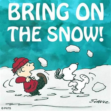 261 best Snoopy/Peanuts Winter images on Pinterest | Snoopy cartoon, Cartoon and Charles brown