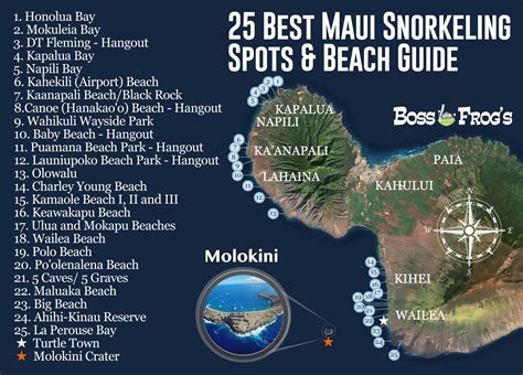 25 Best Maui Snorkeling Spots & Beach Guide | Videos & Photos!