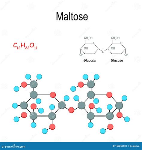 Maltose Molecule With Chemical Formula Stock Photography | CartoonDealer.com #22818626