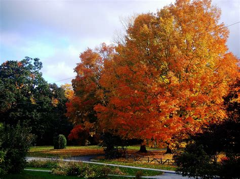 Autumn in Vermont :) | Autumn scenery, Autumn landscape, Secret garden