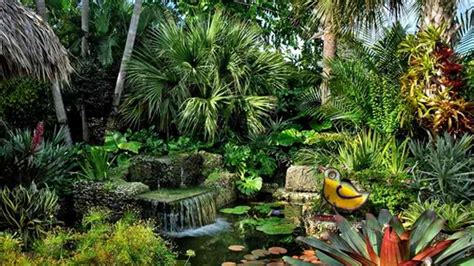 10 Easy Steps to Make Your Dream Tropical Garden a Reality | Home ...