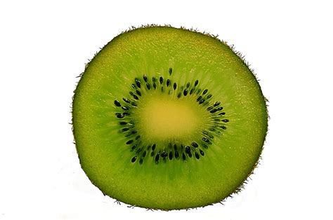 Growing Kiwi Fruit - How to Grow Kiwi Fruit - Allotment & Gardens