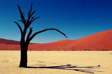 Beautiful Desert Landscapes