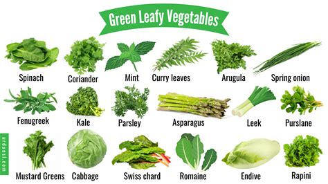 45 Green Leafy Vegetable Names with Pictures and their Benefits