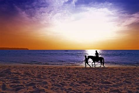 SUNSET BEACH HORSE RIDE - Iniala Hotel