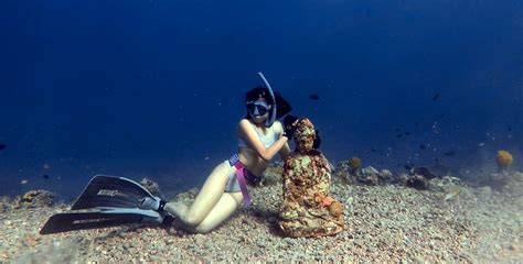 Best Dive Sites in Batangas 2023 - The Queen's Escape