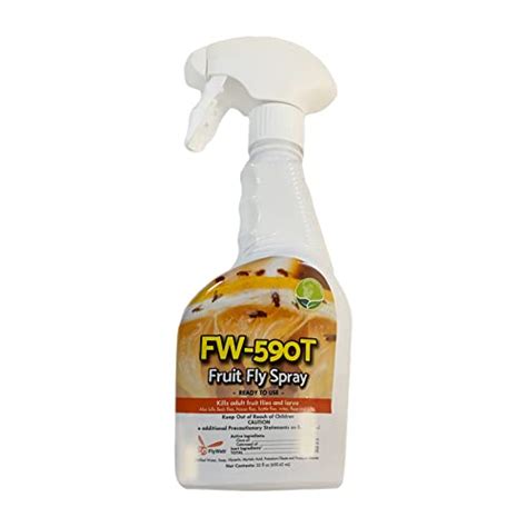 The Best Chemical Fruit Fly Spray: Get Rid of Fruit Flies Quickly