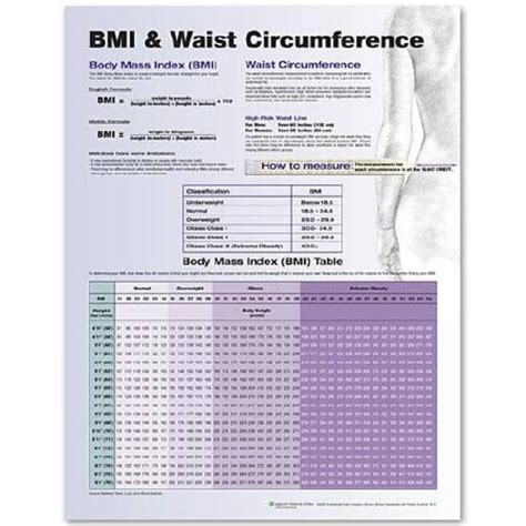 Anatomical Chart BMI and Waist Circumference Chart