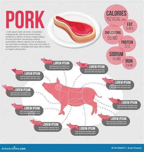 Infographic For Parts Of The Body Pig And Nutrition Pork Stock Vector - Illustration of flyer ...