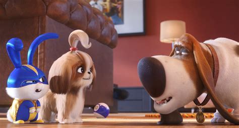 ‘The Secret Life of Pets 2’ Review: A Silly and Sweet Sequel | IndieWire