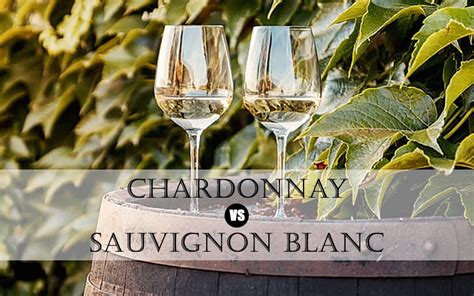 Chardonnay vs Sauvignon Blanc | Comparison - Just Wines Blog