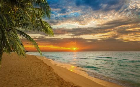 Tropical Beach, sea, shore, sand, tropical, paradise, nature, sunset, beach HD wallpaper | Pxfuel