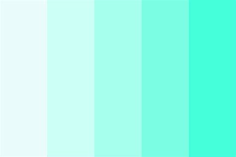 Seafoam Green Complementary Colors