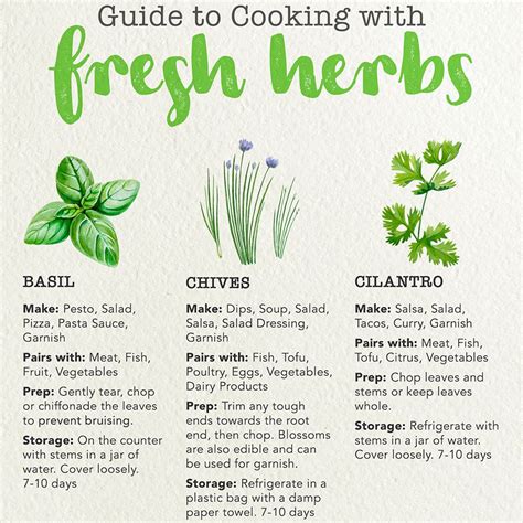 How To Use Herbs In Cooking - foodrecipestory