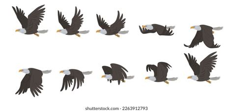 Flying Eagle Set Frames 2d Animation Stock Vector (Royalty Free ...