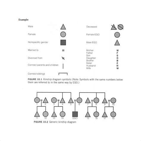 Kinship Diagram Free Editable Kinship Diagram Template