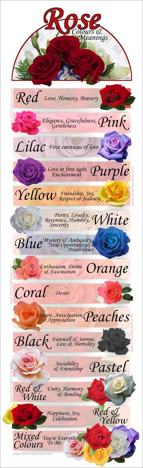 Rose Flowers Colours And Their Meaning | Best Flower Site