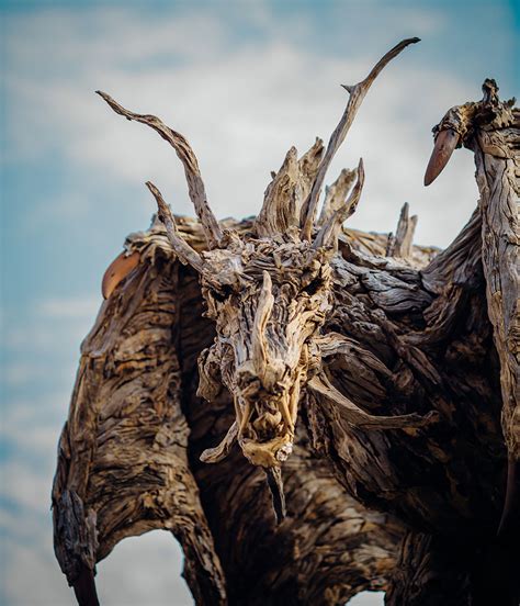 Driftwood Dragons And Beast Sculptures By James Doran-Webb | Bored Panda